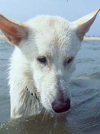 Cux17: Das also ist die Nordsee!