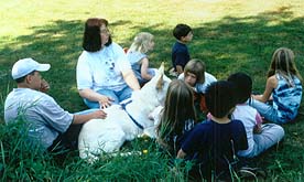 Theoretisches Wissen zum Umgang mit Hunden wird ebenfalls vermittelt