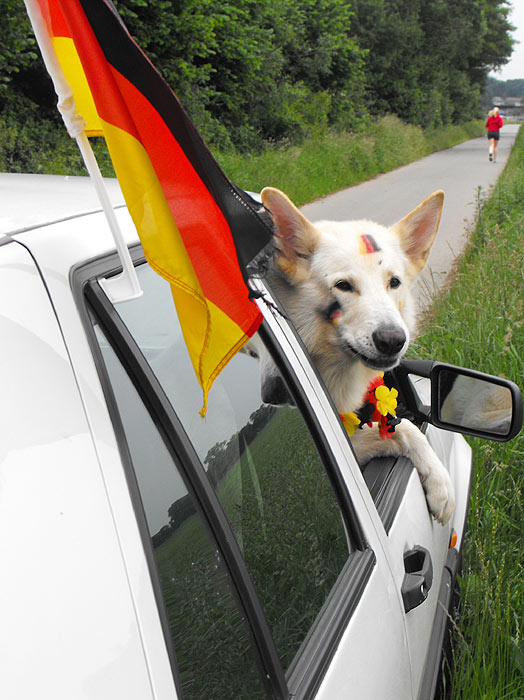 Karhu, Juni 2010 Foto: Gaby von D&ouml;llen, Worpswede