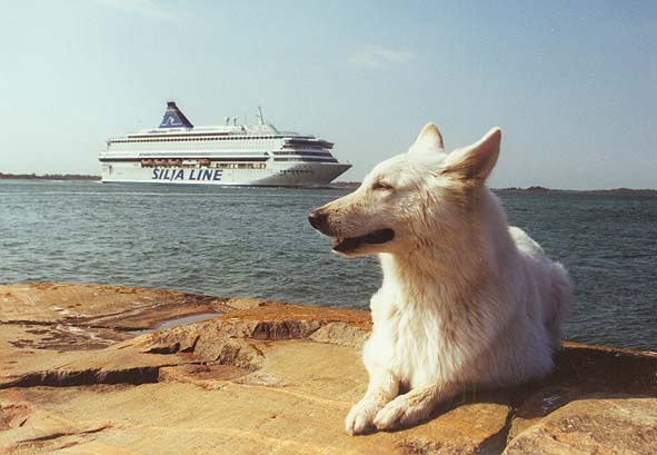 Fiala, aufgenommen auf den Aland-Inseln, Finnland. Foto: Gaby von D&ouml;llen, Worpswede