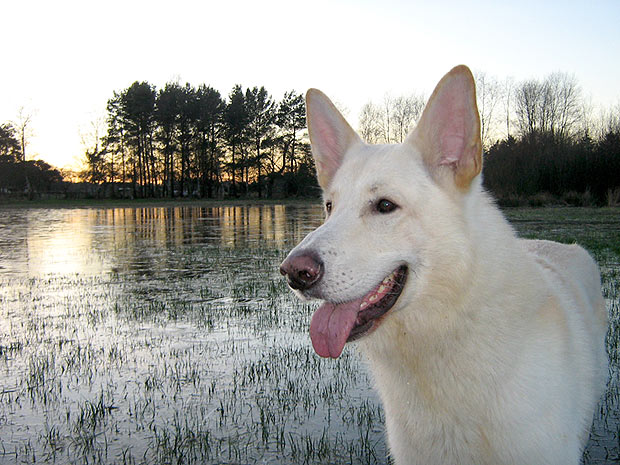 Karhu, Januar 2007; Foto: Gaby von D&ouml;llen