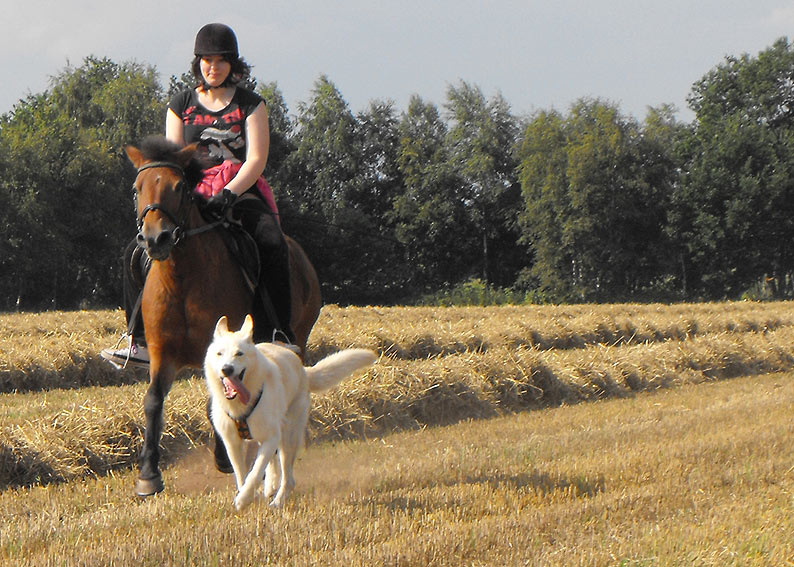 Karhu, Lola und Malin im August 2010 Foto: Gaby von D&ouml;llen, Worpswede