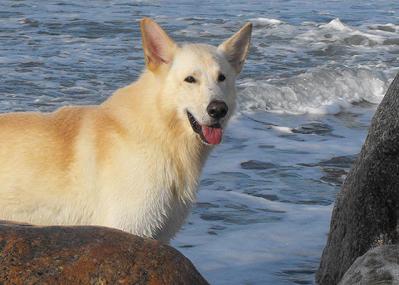 Urlaub in D�nemark Oktober 2010 Foto: Gaby von D&ouml;llen, Worpswede