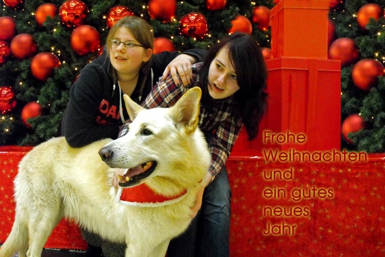 Karhu mit Malin und Lilja, Advent 2011 Foto: Gaby von D&ouml;llen, Worpswede