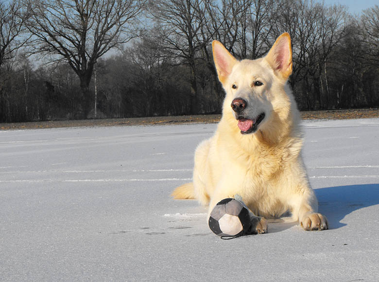 Karhu  Foto: Gaby von D&ouml;llen, Worpswede