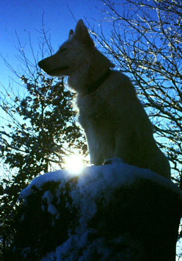 Fiala, Foto: Gaby von D&ouml;llen, Worpswede