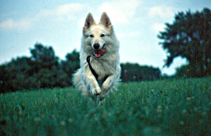 Fiala, Juni 2003  Foto: Malin von D&ouml;llen, Worpswede