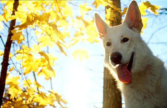 Karhu, Foto: Gaby von D&ouml;llen, Worpswede