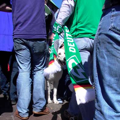 Immer fein den Durchblick behalten!