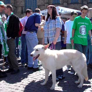 Manchmal hatte ich richtig viel Platz!